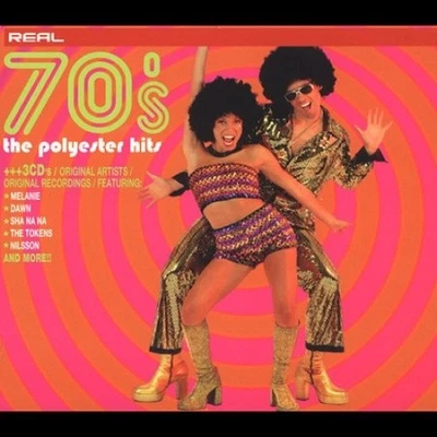 Real '70s: The Polyester Hits [Box] by Various Artists Foto 1 de 2