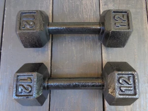 PAIR OF 12 LB. DUMBBELLS - BODYBUILDING - WEIGHT LIFTING - HOME GYM - DUMB BELLS - Picture 1 of 1