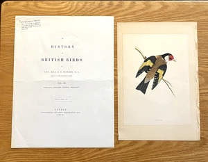 Antikes Sammlerstück 1853 MORRIS handkoloriertes GOLDFINCH Buch Gravur Druck - Bild 1 von 2