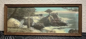 Antike einsame Zypresse Monterey Kalifornien handgetönt gerahmt 14 5/8" x 6"" - Bild 1 von 2