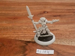 Hordes Warmachine Cygnar Captain Victoria Haley METALL GRUNDIERT AL194 - Bild 1 von 18
