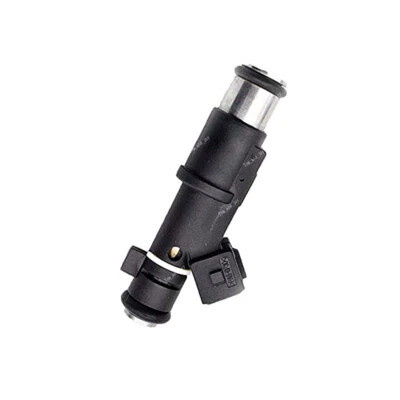 Petrol Fuel Injector For Peugeot 206 307 406 407 607 806 807 Expert Citroen 2.0 — 第 1/4 张图片