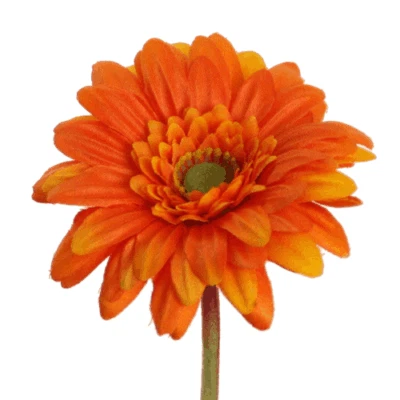 künstliche Gerbera orange 45cm Kunstblumen Einzelblume Gartenblume Sommerdeko - Bild 1 von 2