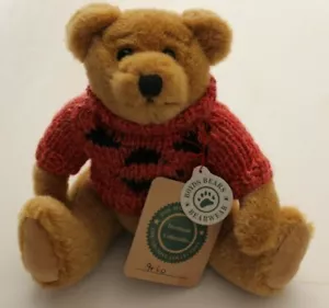 Vintage Boyds Bär ARLO Plüschbär im Kürbis Pullover 8 Zoll voll verbunden #98040 - Bild 1 von 5