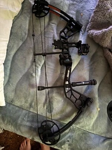 bear scout bow - Picture 1 of 1