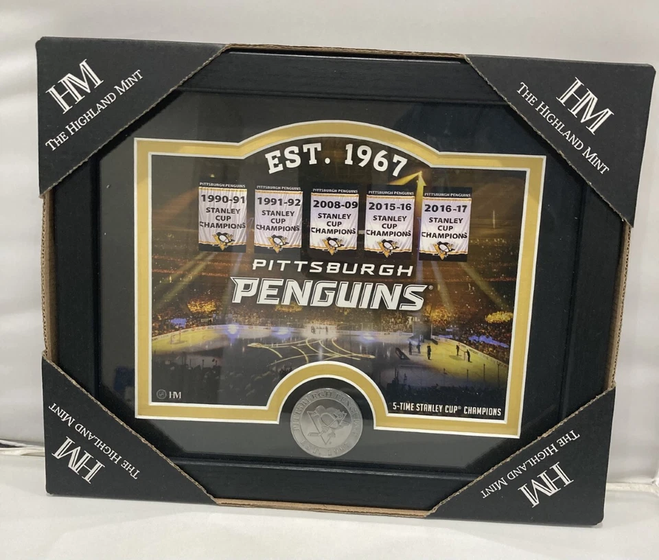 匹兹堡企鹅队 NHL 11 英寸 x 9 英寸带框和磨砂体育场照片完好带硬币 — 第 1/1 张图片