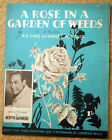 A Rose in a Garden of Weeds - Saxe & David: Mervyn Saunders pic PVG 3 pgs 1950's