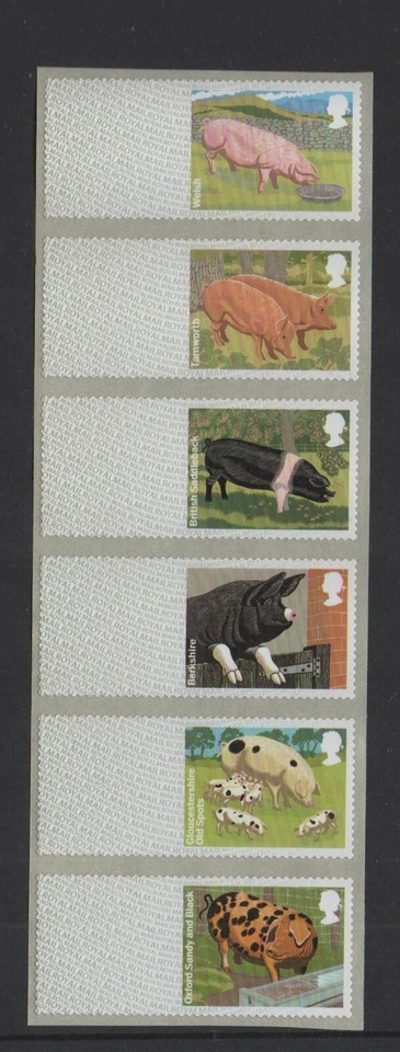 PIGS  FARM ANIMALS  BLANK  STRIP  of 6  WELSH  TOP  POST GO  SUPERB  -  RARE  - Image 1 of 1