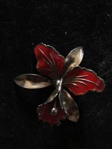 Schöner Vintage Weihnachtsstern Blume Floral Weihnachten Feiertage unbeschriftet - Bild 1 von 5