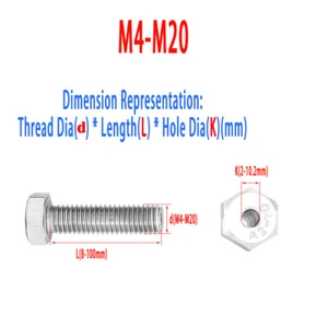 304 SS Sechskant-Hohlschraube/Hohlschraube/Durchgangslochschraube M4M6M8M10M12M20 - Bild 1 von 60