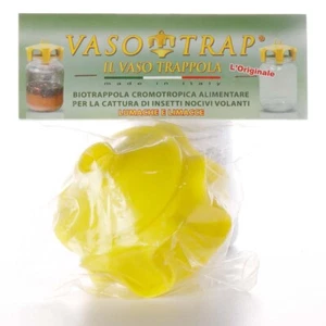 Vaso trap per la cattura delle vespe1PZ - Foto 1 di 1