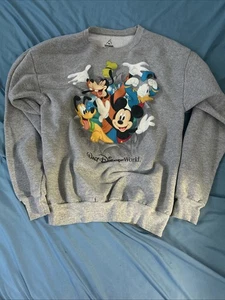 Youth XL Disney World Sweater - Picture 1 of 4