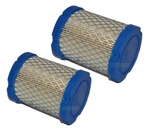 2X Filtro de aire para motor Briggs & Stratton / B&S 796032 591583 210000 1 - Imagen 1 de 3