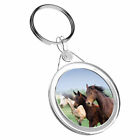 1 x Horse lover Mare Foal Animal - Keyring IR02 Mum Dad Kids Birthday Gift #2340
