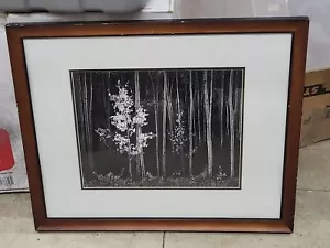 Cuadro Aspens Norte Nuevo México Ansel Adams 22x18 Imagen 10x13 1958 Mate - Imagen 1 de 8