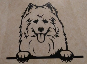 Samojede Aufkleber - Bild 1 von 1