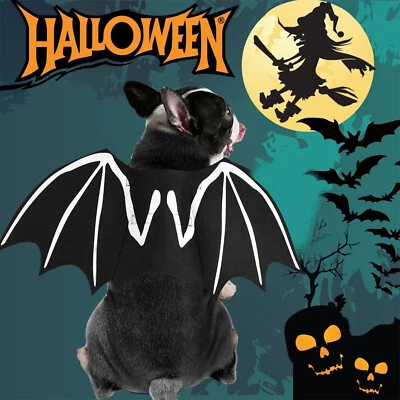 Halloween Spider/Bat Pet Costume/Xmas Santa Hoodie Coat Cosplay Clothes Cat Dog - Image 1 of 4