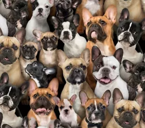 Frenchies, French Bulldogs, Bulldog, Dogs, Dog Fabric 100% Cot•1yd*BTY*Fast Ship - Picture 1 of 3