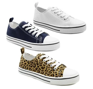 Womens Canvas Trainers Lace Up Baseball Sneakers Ladies Flat Low Top Casual Pump - Picture 1 of 22
