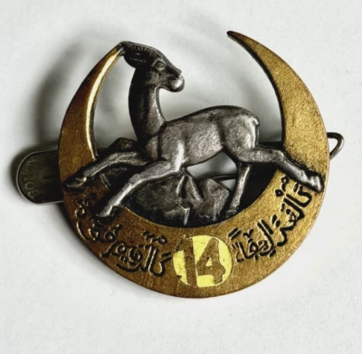 INSIGNE AFN - 14° RTA RÉGIMENT DE TIRAILLEURS ALGÉRIENS - DRAGO PARIS G847 - Photo 1/2