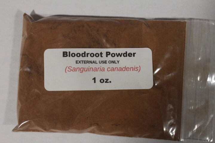 1 oz. Bloodroot Powder (Sanguinaria canadenis) - Image 1 of 1