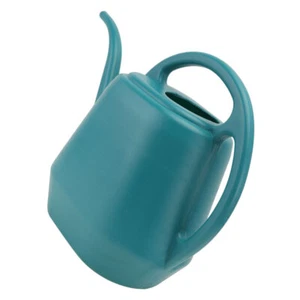 Long Mouth Watering Can Flower Kettle Small Flowers Succulent Pot - Picture 1 of 12