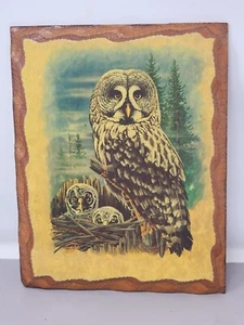 Vintage Great Grey Owl With Owlets Wooden Wall Nature Scene Signed Steve Miller - Picture 1 of 8