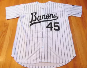 MILB CUSTOM THROWBACK BIRMINGHAM BARONS MICHAEL JORDAN JERSEY SIZE L - Picture 1 of 6