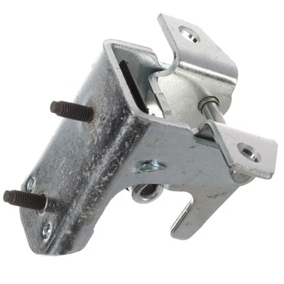 OEM NEW Ford Expedition 1997-2017 Rear Lower Door Hinge Assembly-BL1Z-7826810-B - Изображение 1 из 4