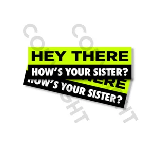 Funny Bumper Stickers - HEY THERE HOW'S YOUR SISTER  - SET OF 2 - 8" wide #827 - Picture 1 of 2