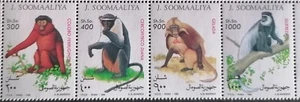 SOMALIA 1994 . - MONOS ._ - Imagen 1 de 1