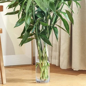 Acrylic Clear Cylinder Vase Flower Vase for Party Home - Picture 1 of 6