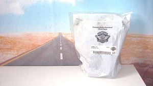 Rim Seal Harley 44753-11 17 x 3 Fits FLHRC TLE W Smoothie Laced Wheels E3 - Picture 1 of 4
