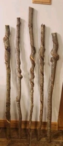 BEAUTIFUL!! Set of 5 FRESH Cut Vine Twisted Stick with Bark~ Read Description - Picture 1 of 3