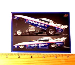 Don "THE SNAKE" Prudhomme 1984 PEPSI WENDY'S Pontiac Funny Car Banner Sticker - Picture 1 of 1