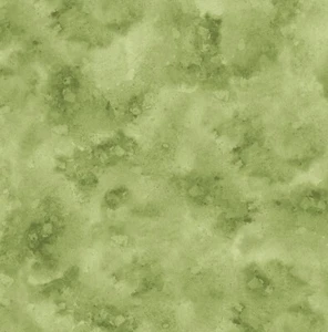 Wilmington Prints - Essential 108" Wide Backing - Haze - Green, Fabric BTY - Picture 1 of 2