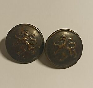 Antique Sec. XIX pair of bronze  Buttons " A LION"