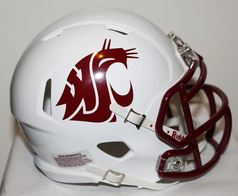 2017 Washington State Cougars Custom Riddell Mini Helmet vs Arizona Cover