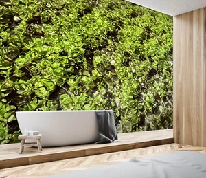3D Moss Water 7126 Wallpaper Mural Paper Wall Print Indoor Murals CA Sinsin - Picture 1 of 10