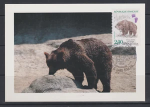 CARTE MAXIMUM FDC 1ER JOUR 1991 ESPECE PROTEGEE OURS PYRENEES ST LARY SOULAN    - Picture 1 of 1