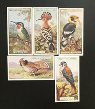 5 Ogdens Cigarette Cards, Foreign Birds 1924(Fba3)