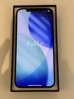 Apple iPhone 12 Pro Max Unlocked, 256GB DUAL SIM (READ, AS-IS) - Image 1 of 4