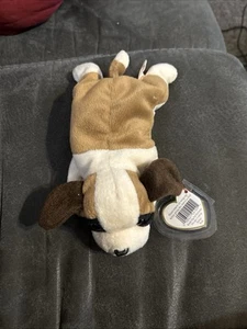 Ty Beanie Baby Bernie The Dog 1996 vintage retirado - Imagen 1 de 4