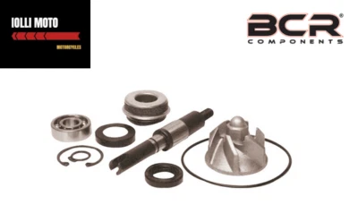 Überholsatz Wasserpumpe Typ Original Honda Sh 125 I 2005/2012 - Bild 1 von 2