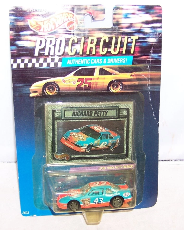 Hot Wheels Richard Petty #43 Pro Circuit Authentic 1:64 Diecast Car