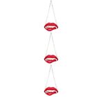  3 Pack Home Backdrop Wall Adornment Acrylic Lip Ornaments Hanging