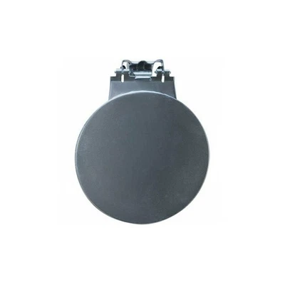 *15124080 0856-029 Fuel Door for Chevrolet 1999-2006 Silverado 1500 2500 3500 Foto 1 de 4