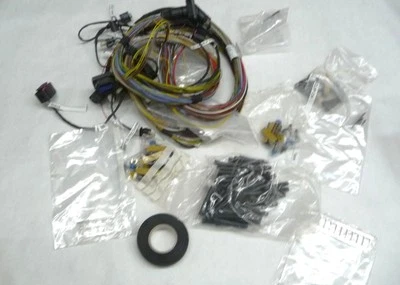 14-17 劳斯莱斯 Ghost RR4 Wraith RR5 黎明 RR6 后维修线套装 61119327506 — 第 1/4 张图片