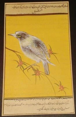 Antique Mughal or Persian Painting of Bird Islamic Art + text Framed 32x24cm - Image 1 of 4