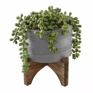 Flora Bunda Artificial Plant String of Pearl in 5" Gray Pueblo Ceramic Pot Wood - Bild 1 von 5